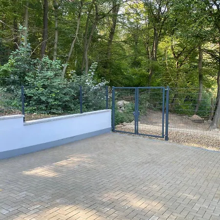 Grosser Vampir * Thale